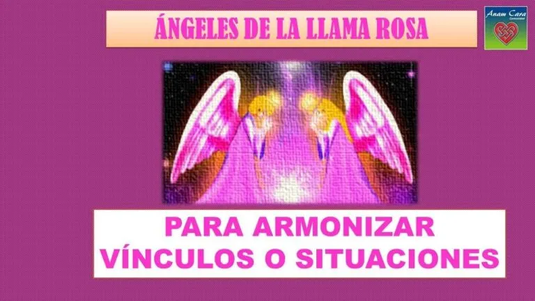 Angeles De La Llama Rosa Oracion