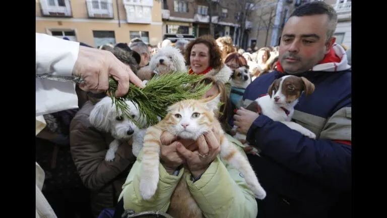 Oracion A San Anton Patron De Los Animales