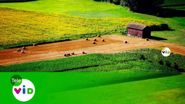 Oracion De Agradecimiento A Dios Por La Naturaleza