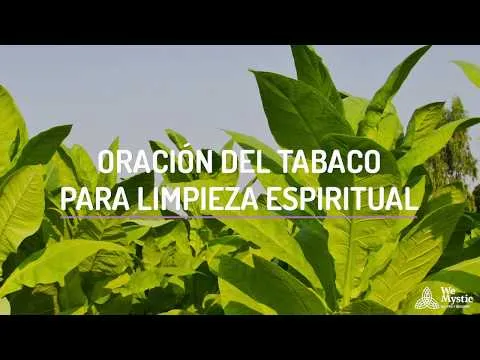 Oracion De Limpieza Espiritual Con Tabaco