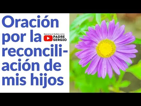 Oracion Para Reconciliar Padre E Hijo