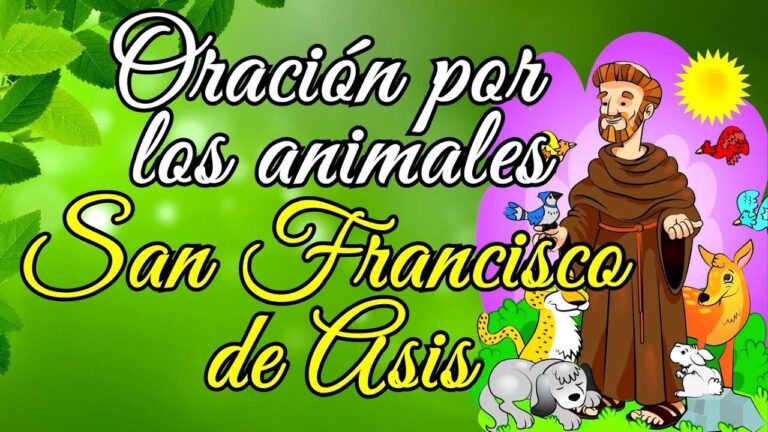 Oración san francisco de asis para los animales