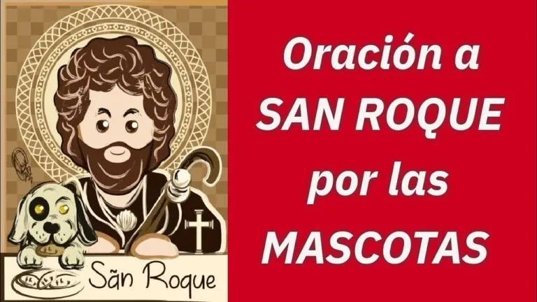 Oracion A San Roque Para Sanar A Un Perro