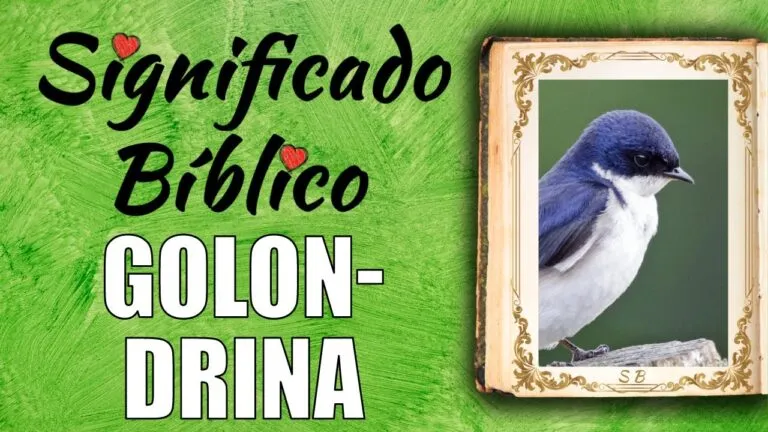 Significado De Golondrina En La Biblia