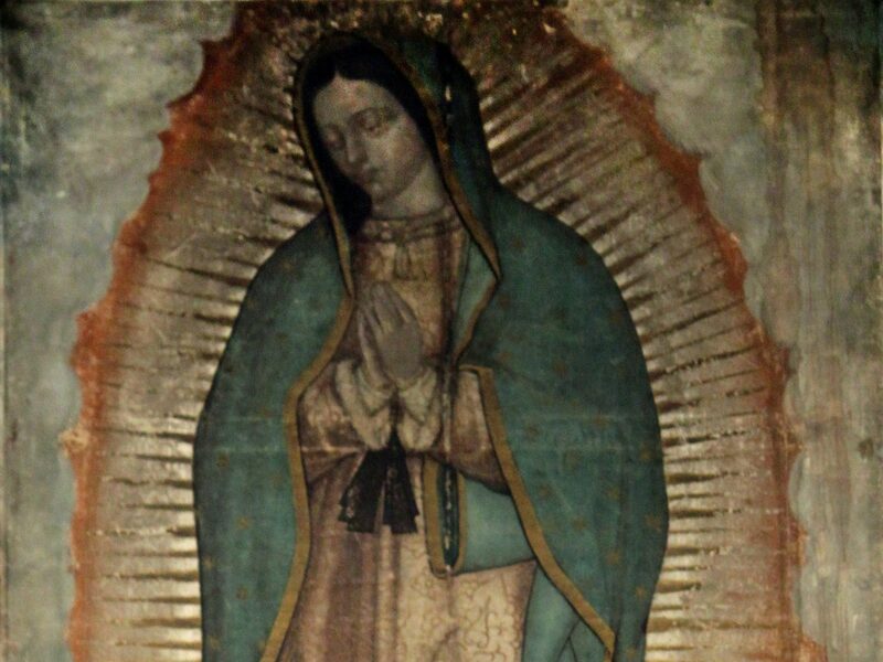 Rostro y manos de la Virgen de Guadalupe en la imagen original de la tilma de san Juan Diego
